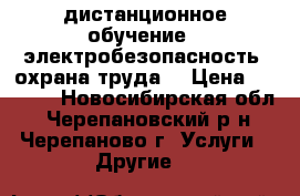 дистанционное обучение - электробезопасность, охрана труда  › Цена ­ 2 500 - Новосибирская обл., Черепановский р-н, Черепаново г. Услуги » Другие   